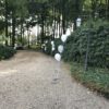 # Ballonnentros zelf samenstellen a 3 + LANGERZWEEFGEL - Afbeelding 21