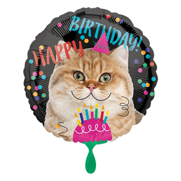 Helium folie ballon Happy birthday kat poes kat