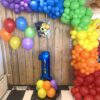 Organic Regenboog Boog - Afbeelding 4