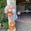 Teddy Bear  Pilaar (orange bruine beren )